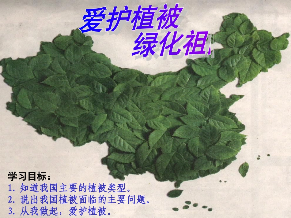爱护植被-绿化祖国-(4)_第1页