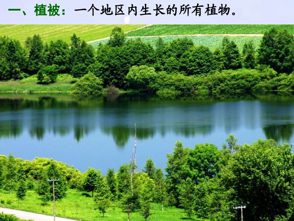 爱护植被-绿化祖国-(4)_第2页