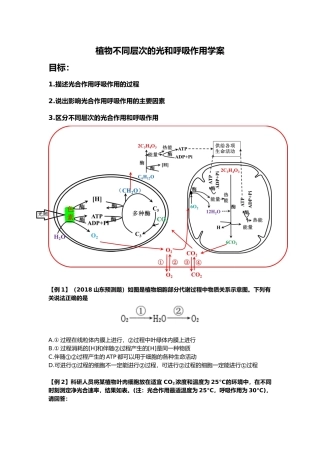 三细胞呼吸在生产、生活中的应用