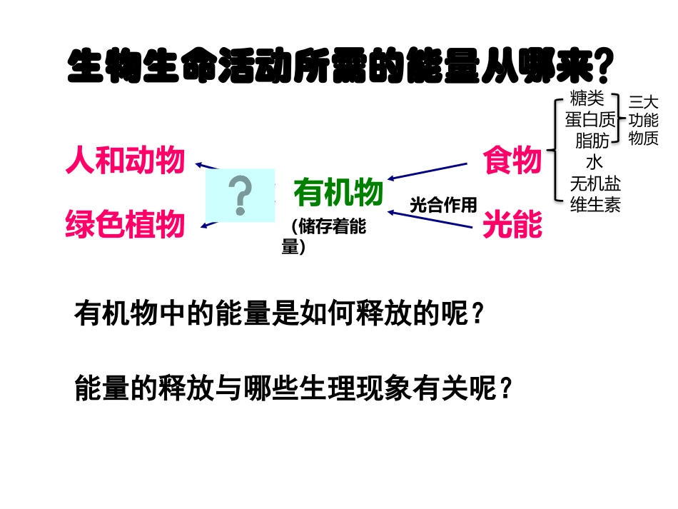 第2节人体的呼吸_第2页