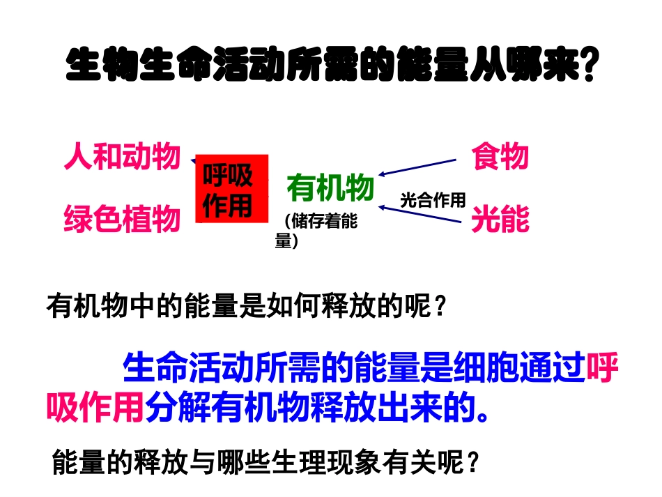 第2节人体的呼吸_第3页