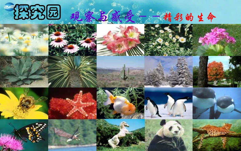 《珍爱生命》_第3页