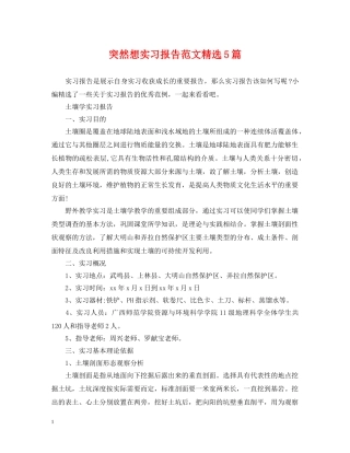 突然想实习报告范文精选5篇 