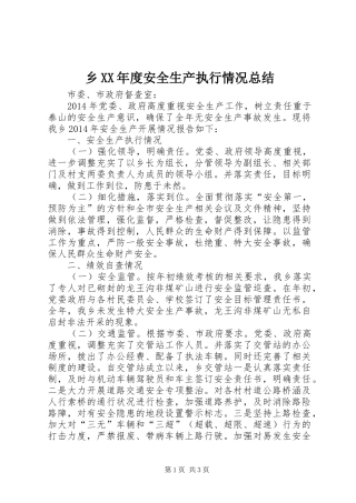 乡XX年度安全生产执行情况总结 