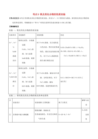 高中化学 最拿分考点系列 考点9 铁及其化合物的性质实验 新人教版必修1-新人教版高一必修1化学试题
