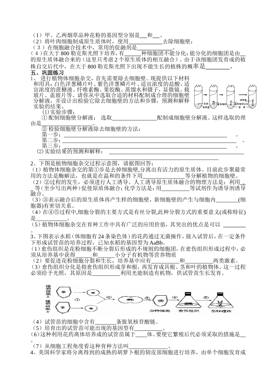 植物细胞工程一轮复习设计_第2页
