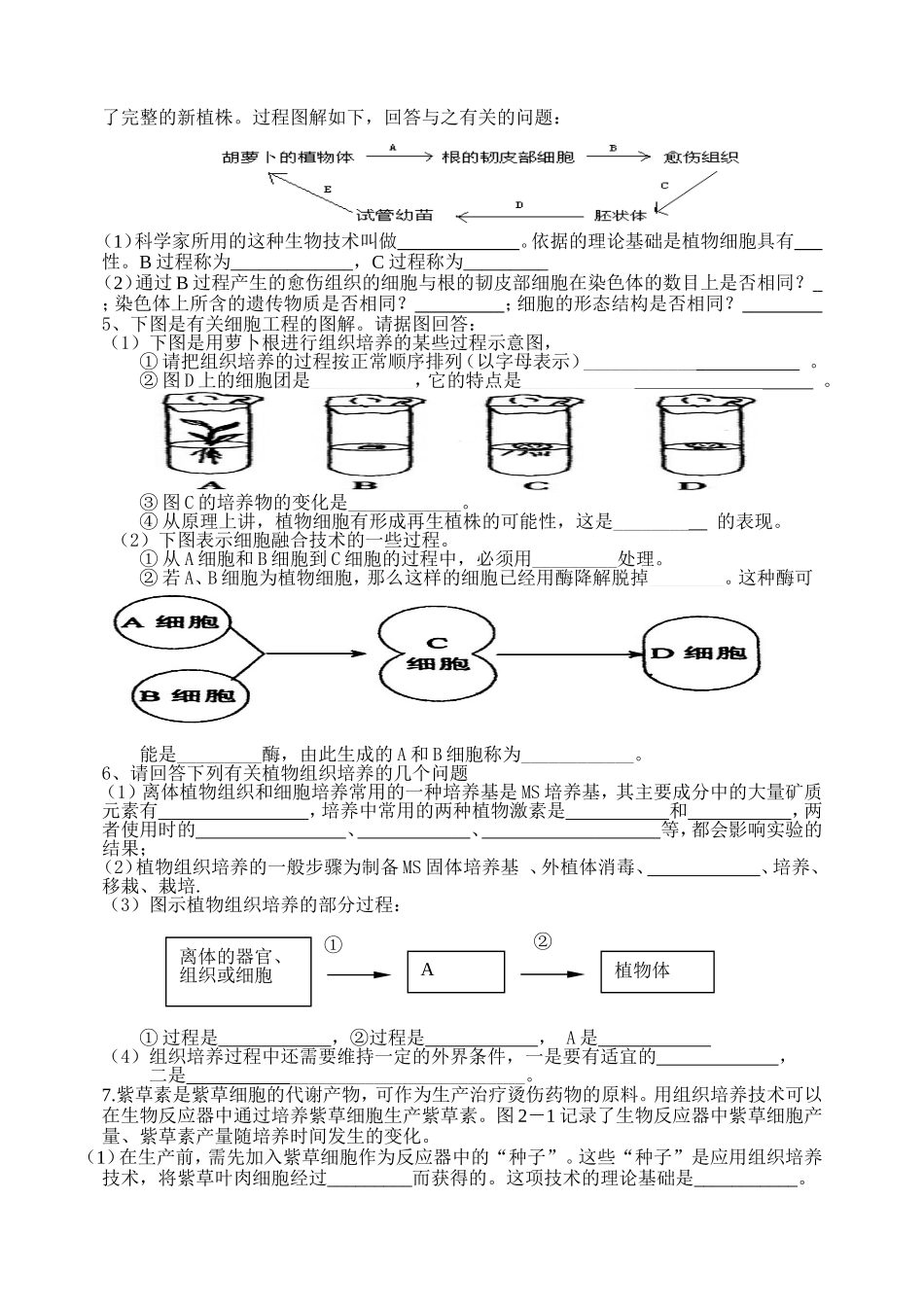 植物细胞工程一轮复习设计_第3页