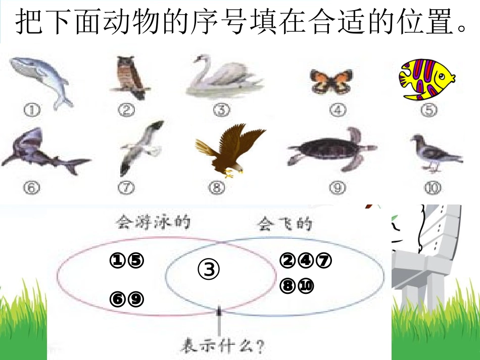 数学广角—集合_第3页