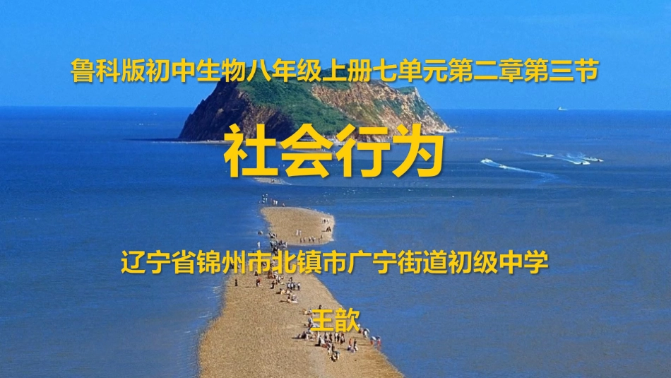 第三节社会行为_第1页