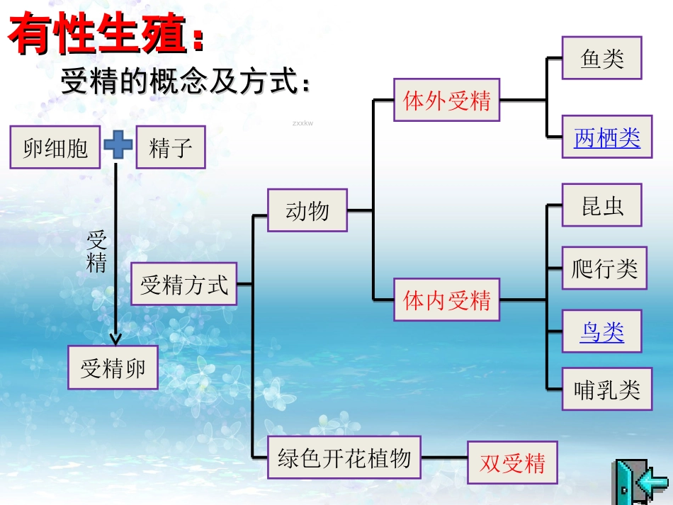 第1节动物的生殖_第3页