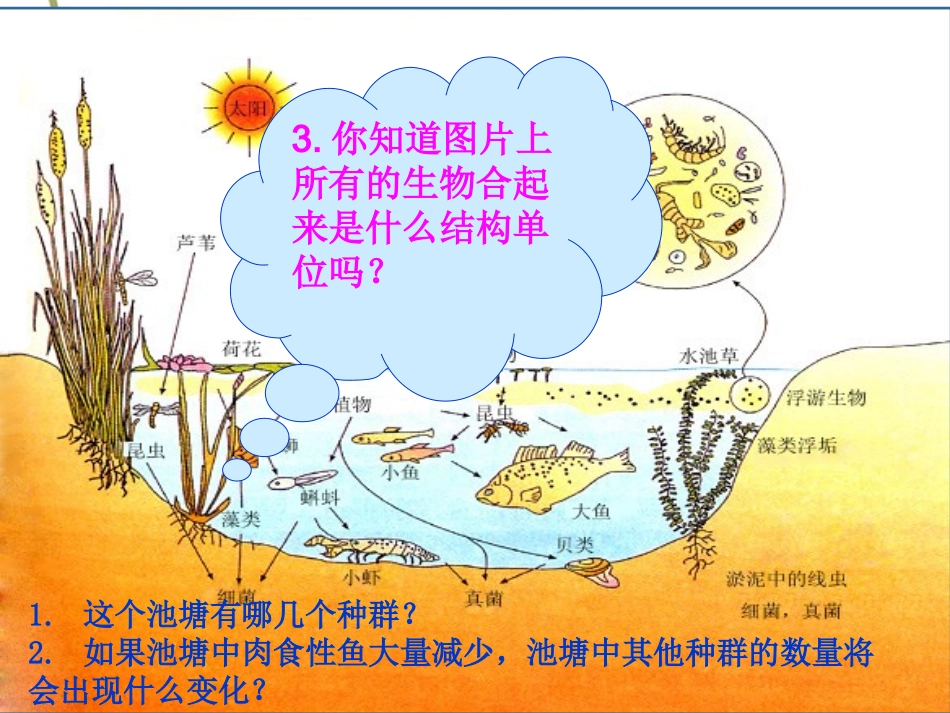 一群落的结构_第2页
