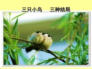 《正确对待理想与现实》课件4