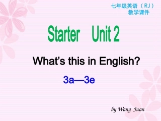 3a—3e-(2)