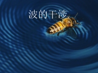 第04节波的干涉与衍射