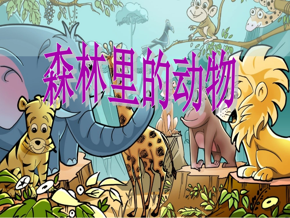 森林里的动物_第1页