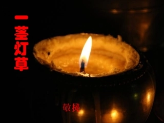 一茎灯草(吴敬梓)