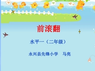 第五节支撑、悬垂、滚翻