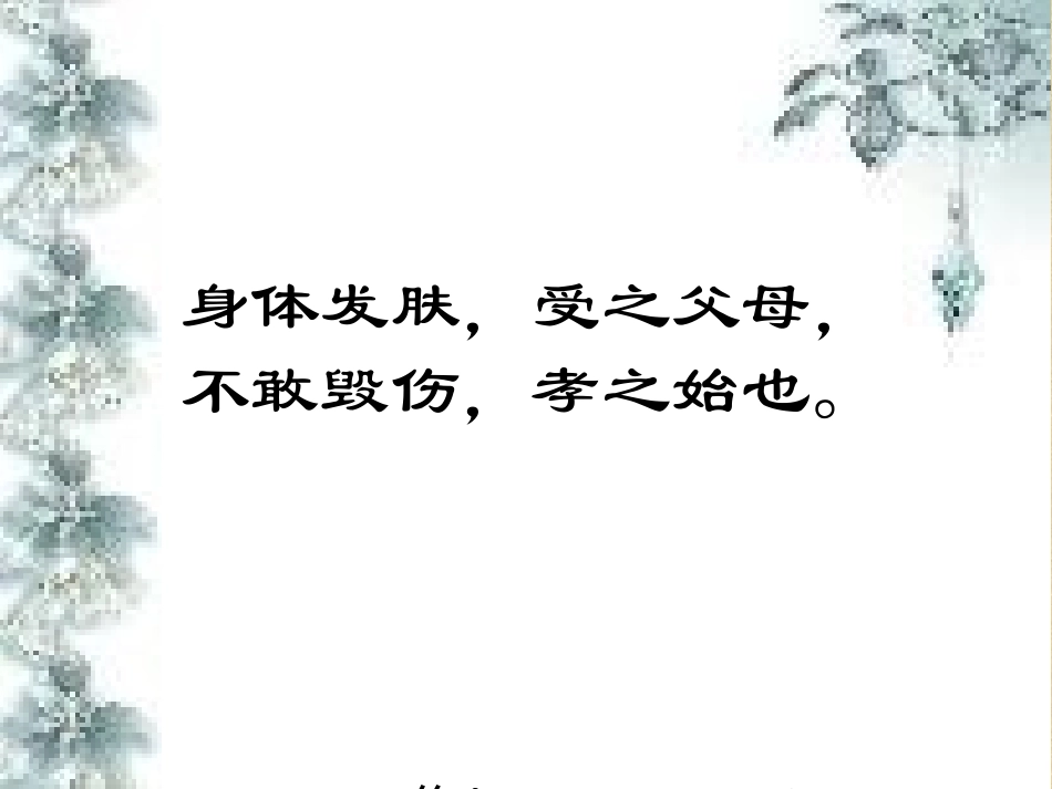 同样的权利--同样的维护_第1页