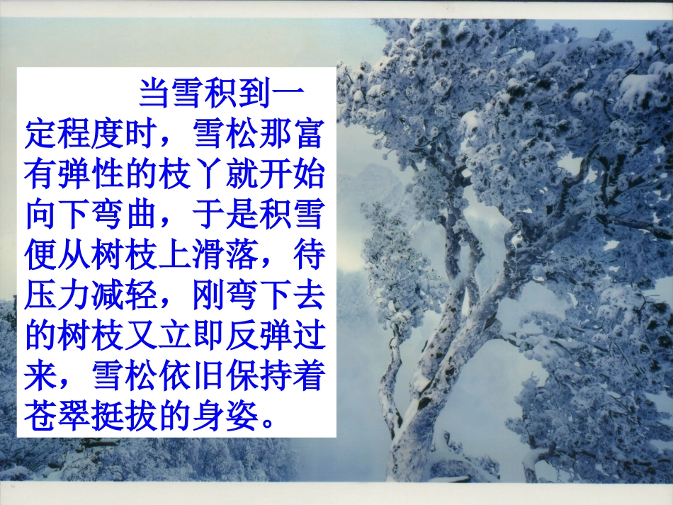 10、山谷中的谜底_第3页