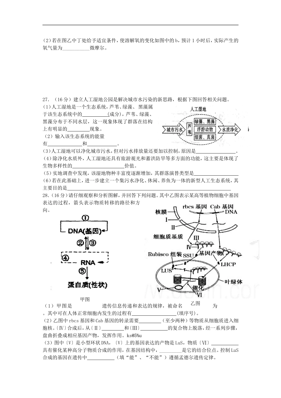 广东省珠海市2013届高三生物9月摸底试题(2013珠海一模)新人教版_第3页