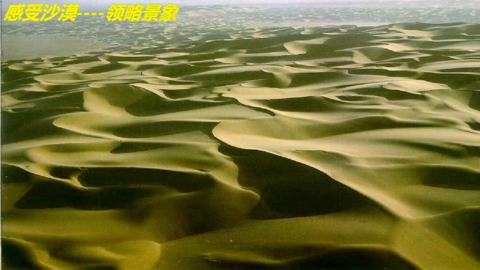 十沙漠里的奇怪现象_第3页