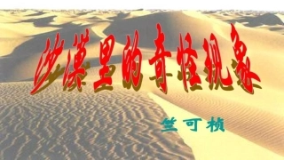 十沙漠里的奇怪现象