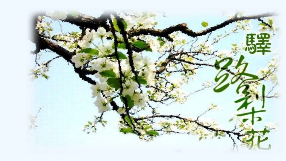 (部编)初中语文人教2011课标版七年级下册《驿路梨花》-(10)_第3页