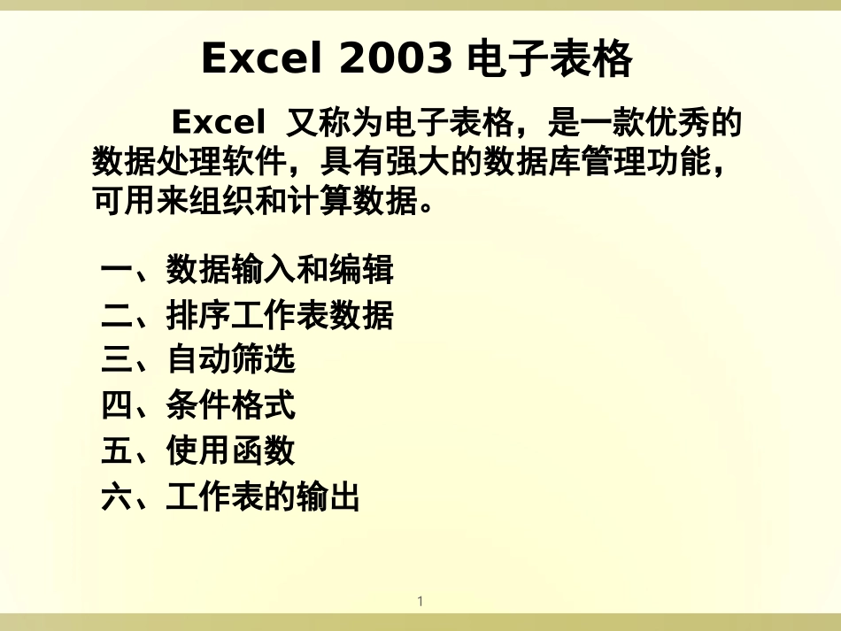 Excel电子表格_第1页