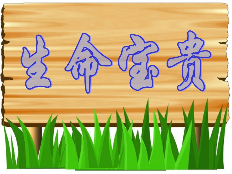 《5.1-生命宝贵》课件1_第1页