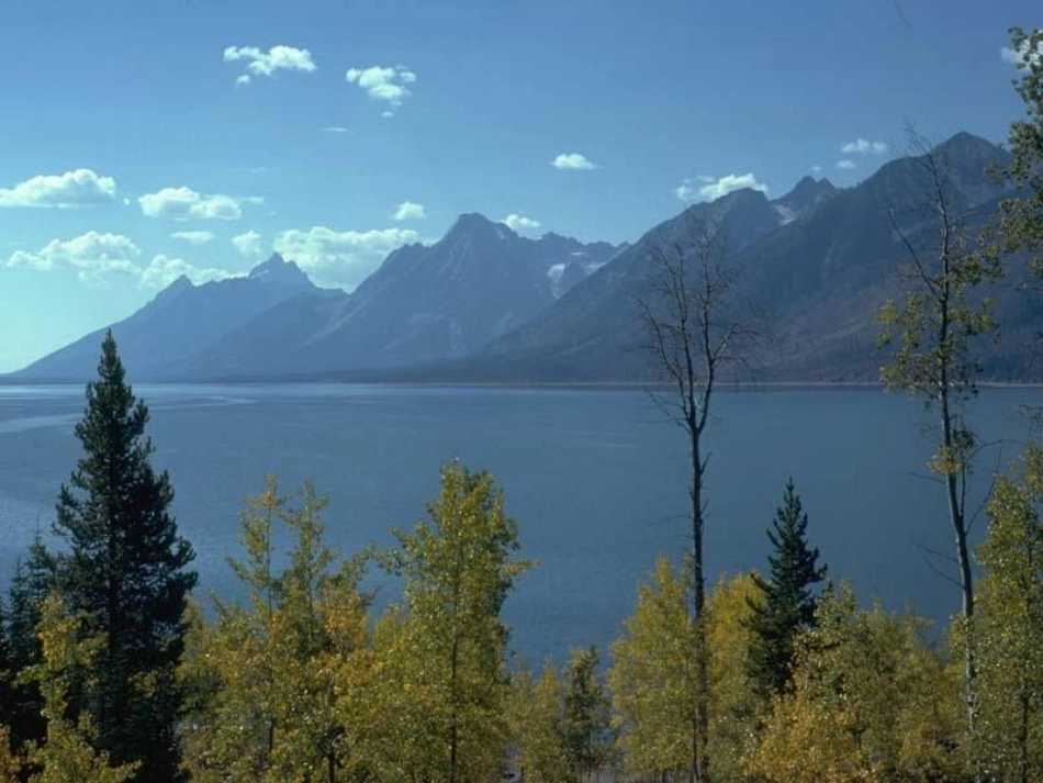 与朱元思书-课件_第3页