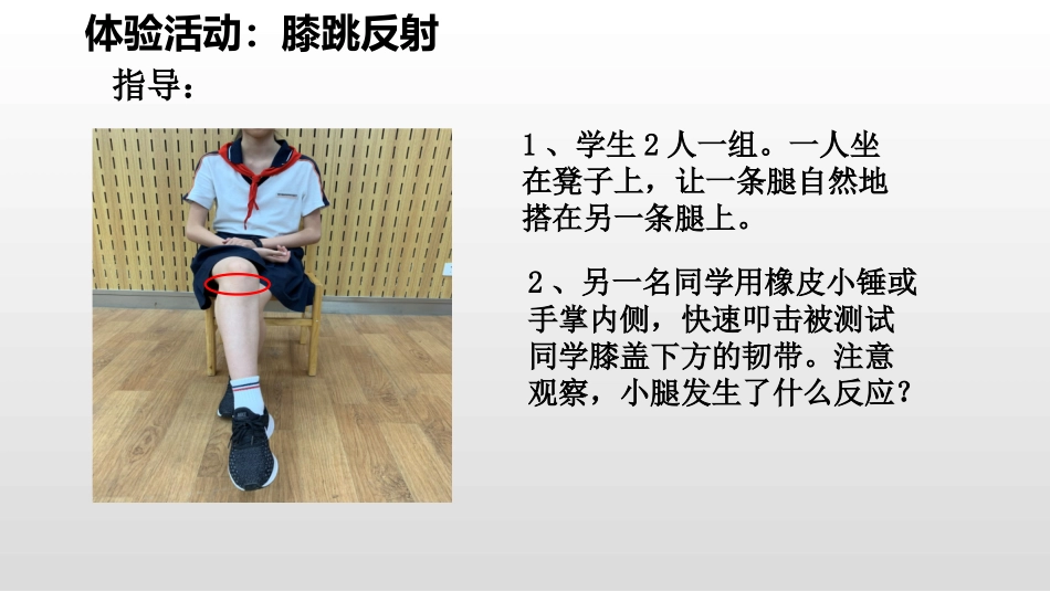 第1节人体的神经调节-(2)_第2页