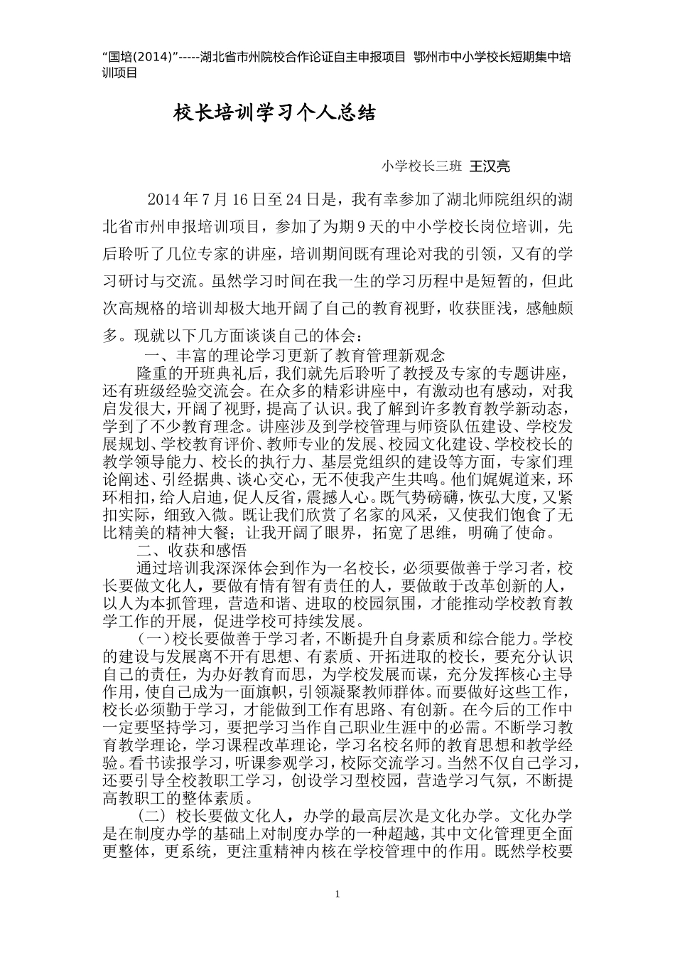 王汉亮研修总结_第1页