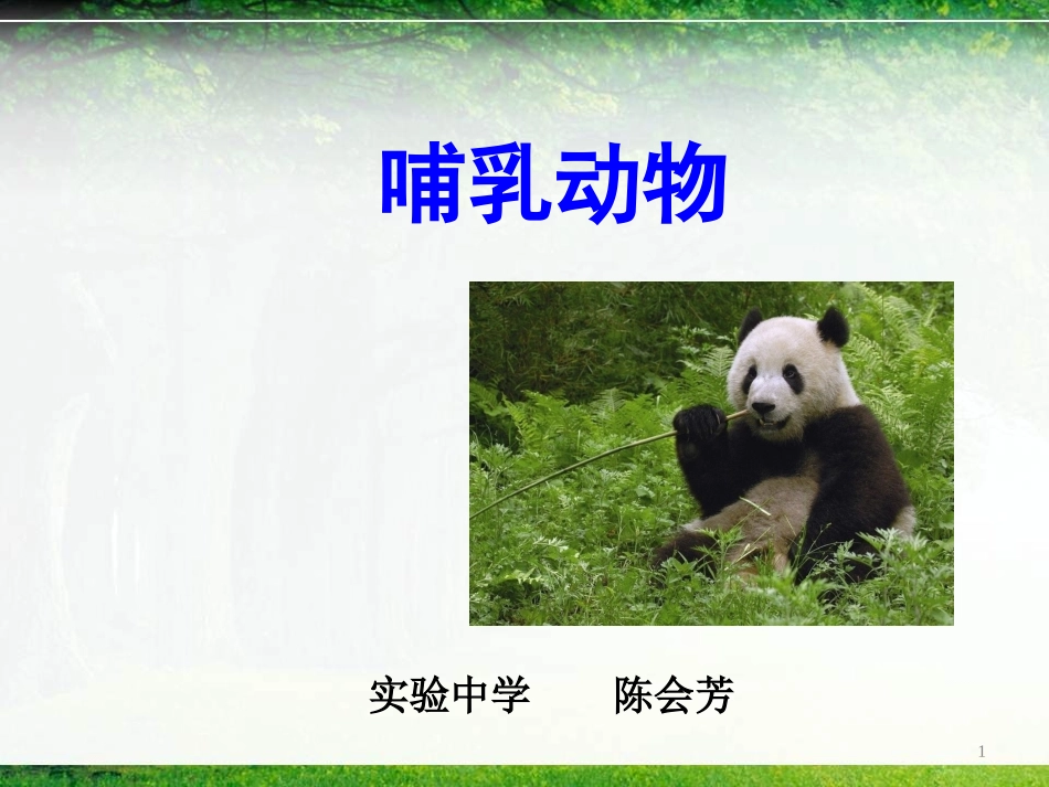 第九节哺乳类_第1页