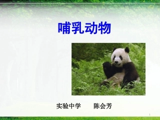 第九节哺乳类