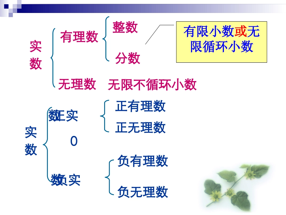 实数(第二课时)_第2页