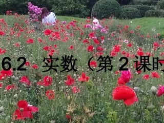 实数(第二课时)
