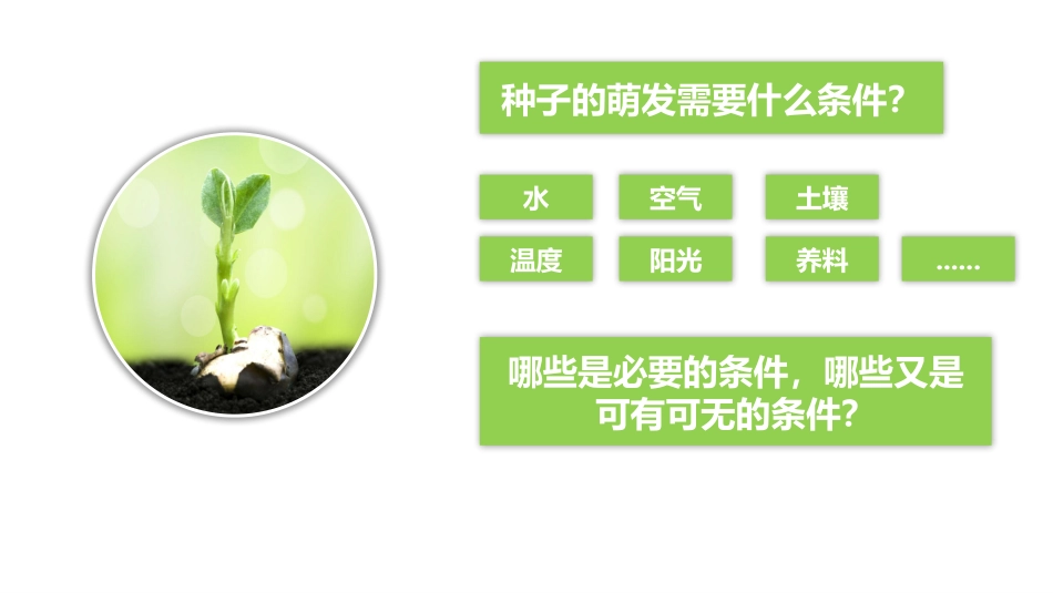 种子发芽实验(一)_第3页