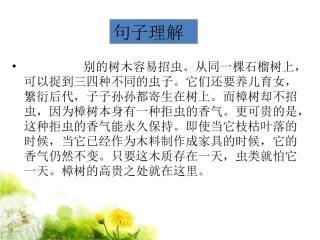 《宋庆龄故居的香樟树》句子理解2