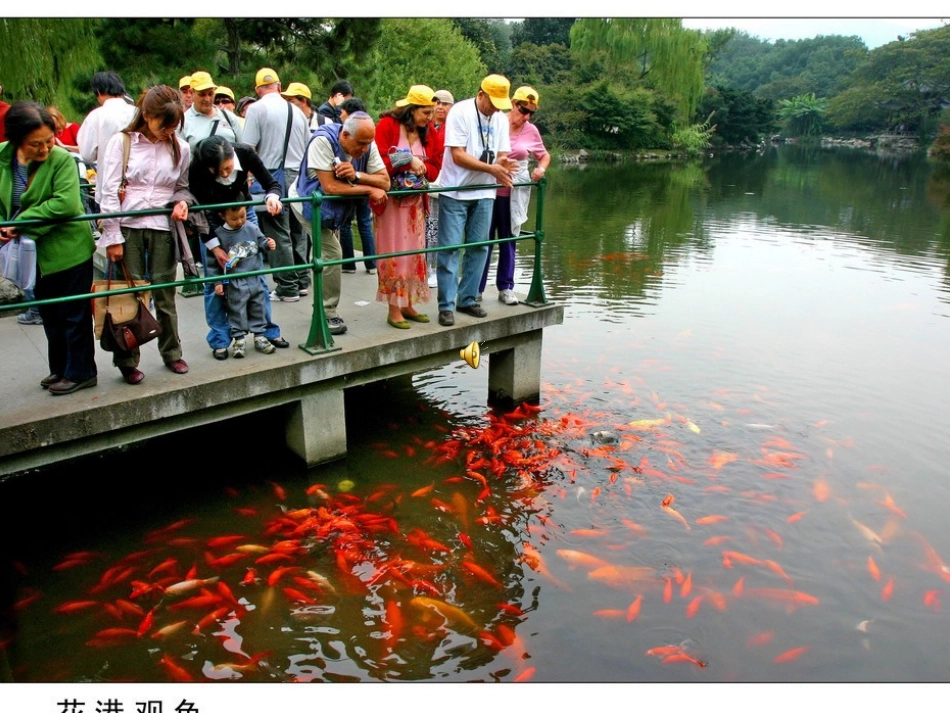31鱼游到了纸上_第2页