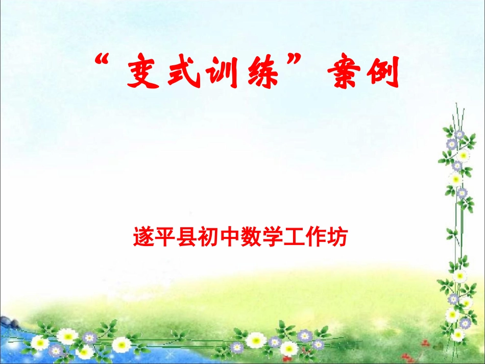 变式训练案例_第1页