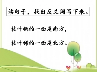 《要是你在野外迷了路》课后练习第2题