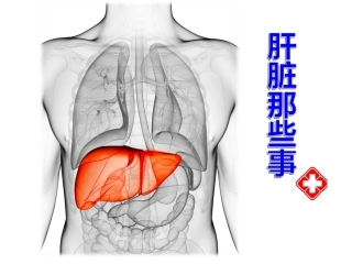 血脂代谢的调节