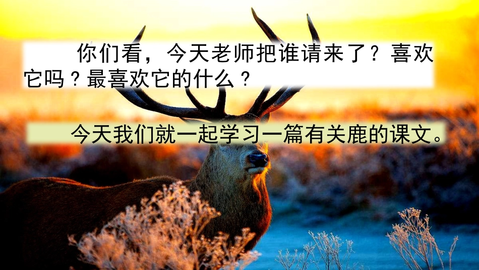 7鹿角和鹿腿_第2页