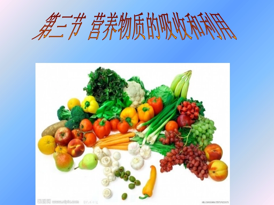 第三节营养物质的吸收和利用_第1页