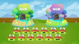 第2节食物的消化和营养物质的吸收