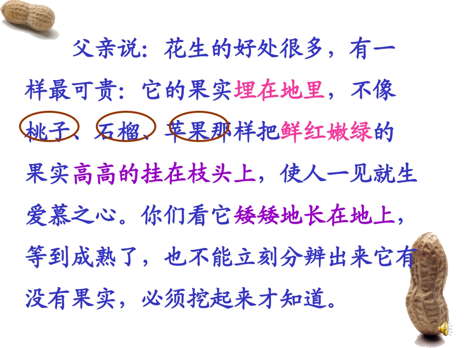 落花生4-1_第2页