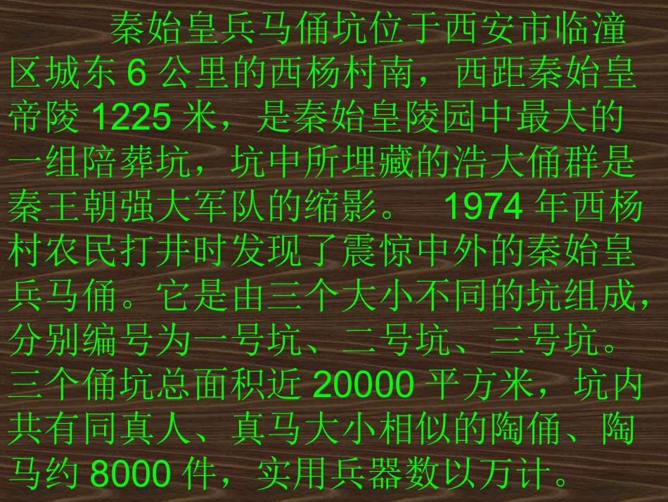 6.秦陵兵马俑_第2页