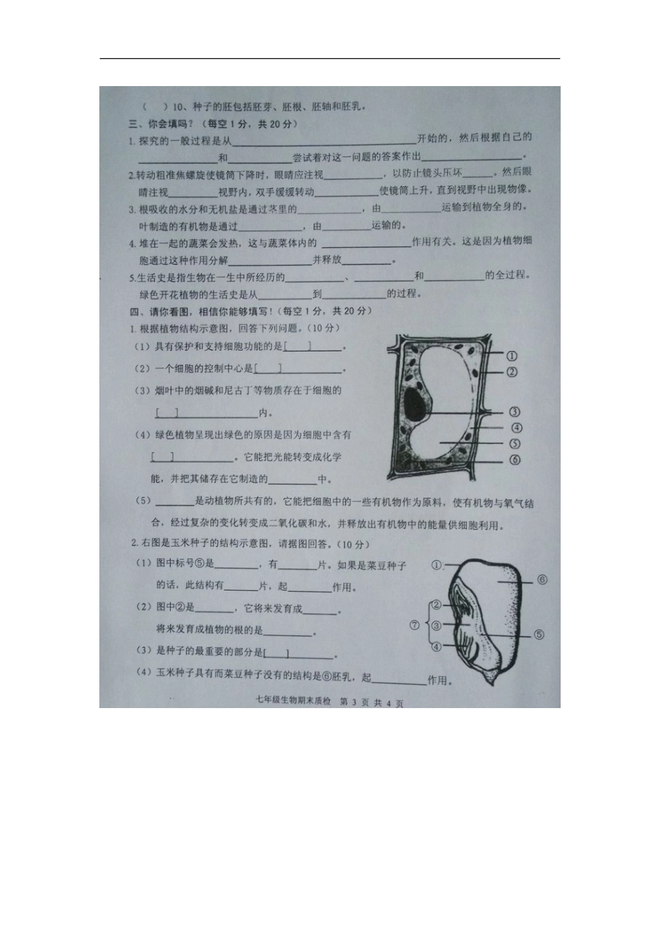 广东省英德市2012-2013学年七年级生物上学期期末考试试题(扫描版-无答案)_第3页