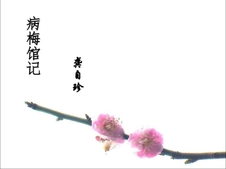 十七病梅馆记
