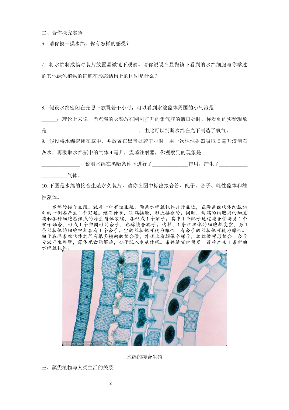 第2节水中的藻类植物_第2页